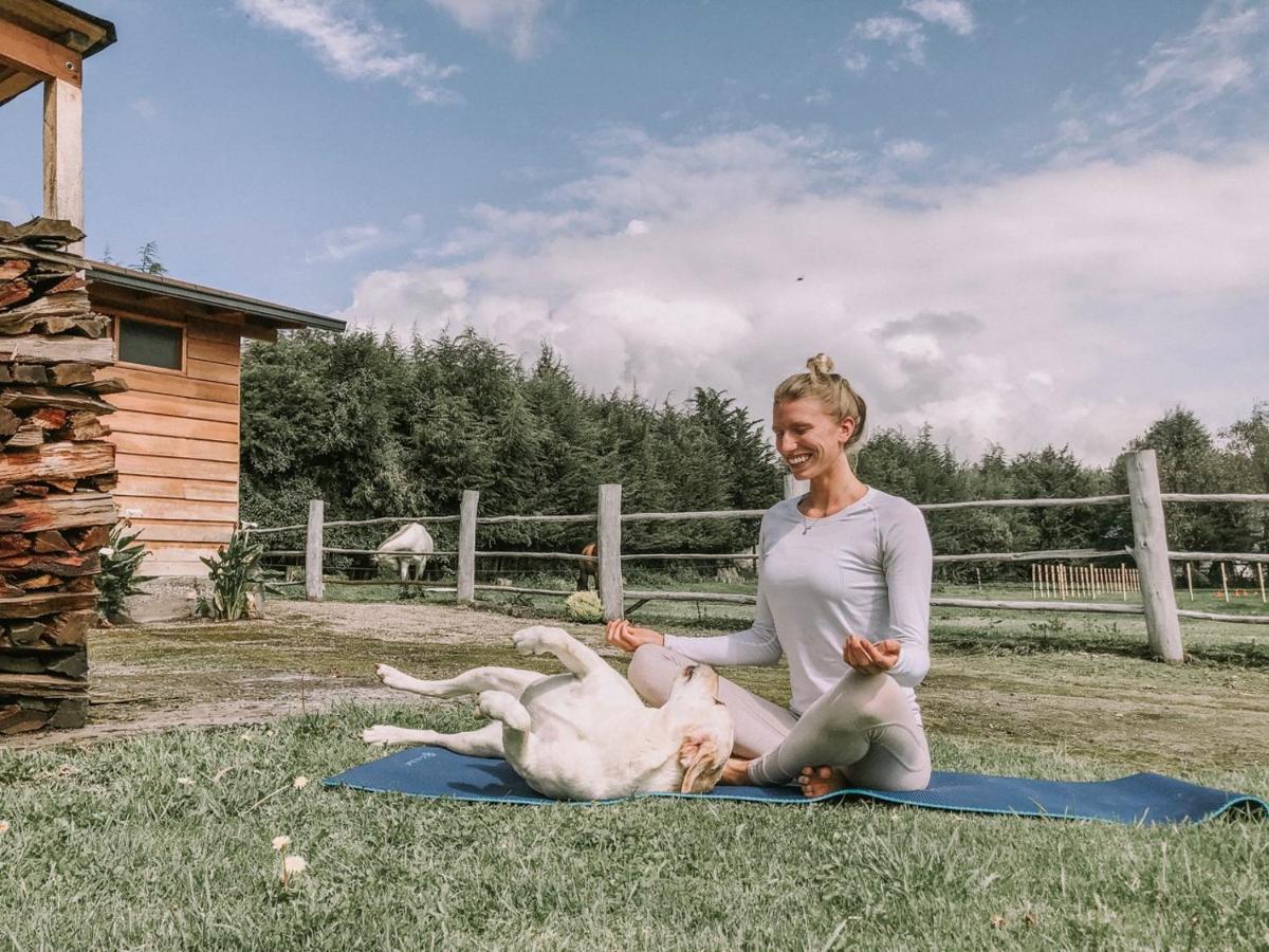 Hosteria Papagayo Cotopaxi Machachi Екстериор снимка